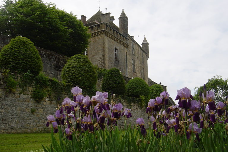 Le Château de Frontenay et les iris